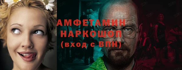 молекула духа Михайлов