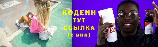 молекула духа Михайлов