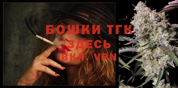 молекула духа Михайлов