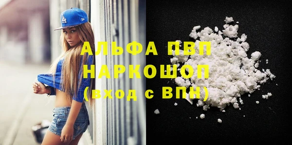 молекула духа Михайлов