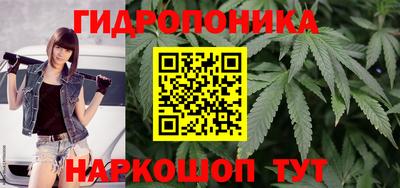 СК Изобильный